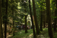 Hasnbrunn-Zajeci-pramen-mse-svata-cerven-2024-5